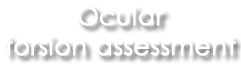 Ocular torsion assessment